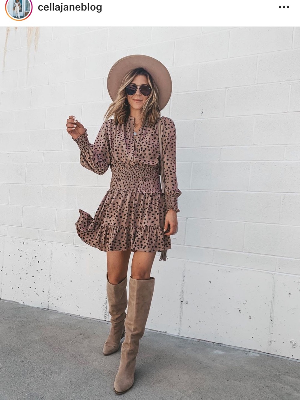 La Vie Rebecca Taylor Dress